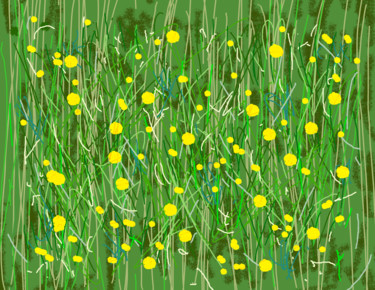 The Buttercup Field